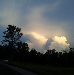 Meet your Posher, Donald